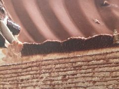 -COSTA COFFEE(上海五玠坊店)