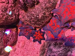 -沈阳海洋探索中心