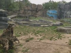 -秦皇岛野生动物园