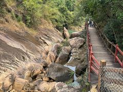 -广州白江湖森林公园