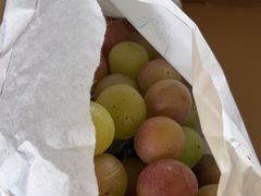 -马陆小张葡萄园农家乐