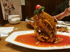 -泉畔人家·老济南经典鲁菜(大明湖店)