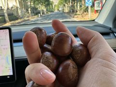 -小叶佳栗子(昌平店)