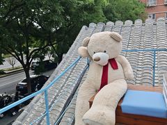 -BE YOLO必有乐&小红帽三明治