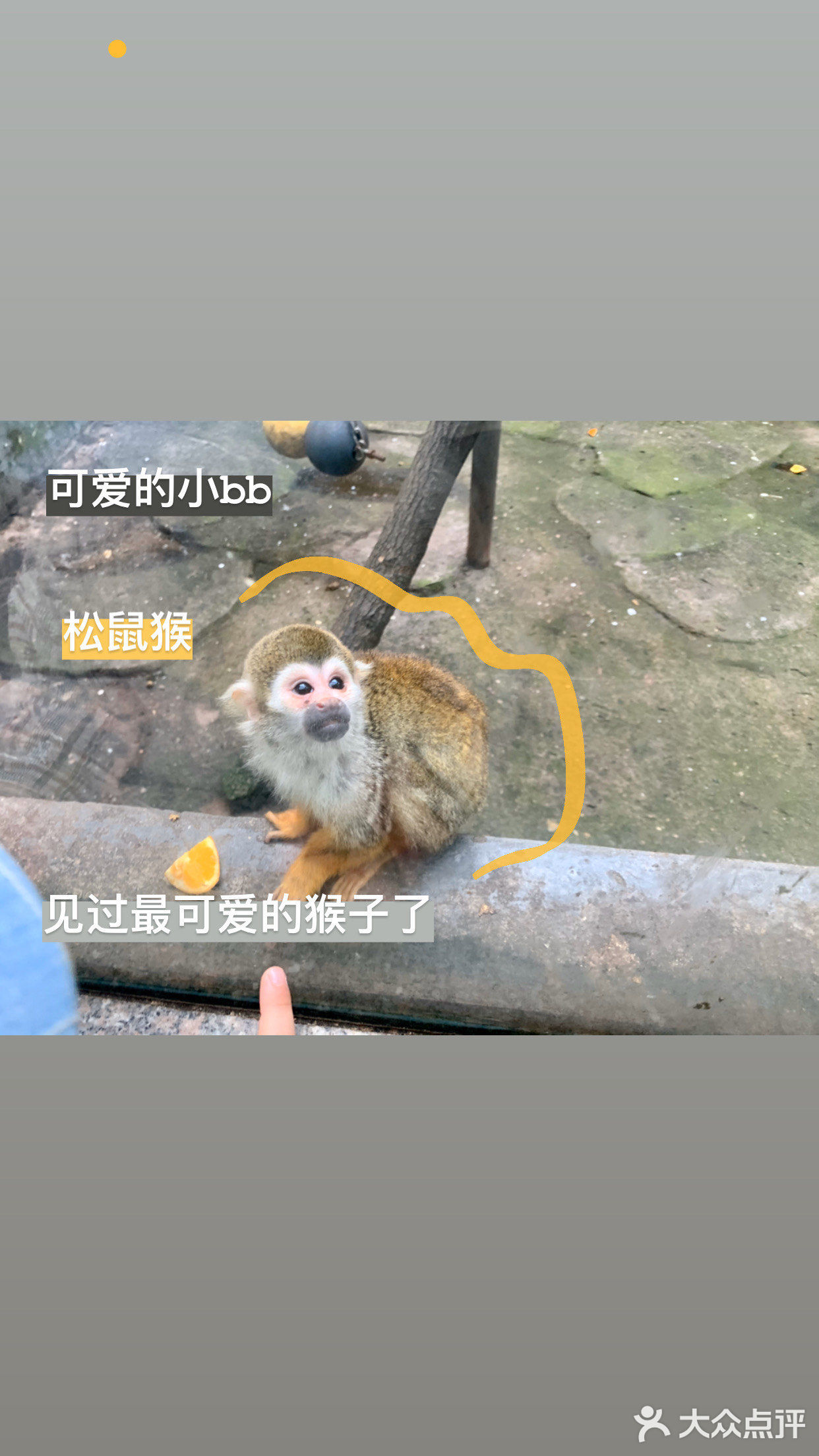 真的很久没有去动物园了呢