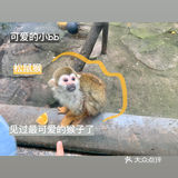 真的很久没有去动物园了呢