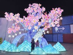 -海合安武汉极地海洋公园