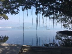 -大埔公路-马料水段香港中文大学(公交站)