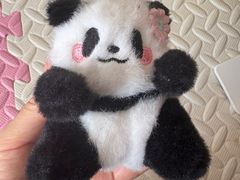 -可爱抓 COCO  GOTCHA(天津鹏欣水游城店)