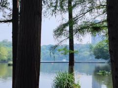 -重庆彩云湖湿地公园