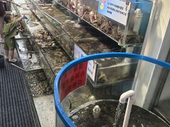 -仙螺岛海鲜自助餐厅(总店)
