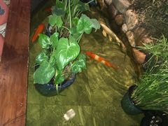 -龙湖星悦荟(颐和店)