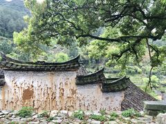 -杨家堂村