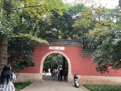 -灵谷景区