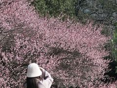 -中国茶叶博物馆(双峰馆区)