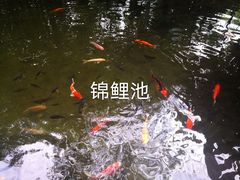 -三亚海棠湾南田温泉神龙谷