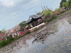 -无锡蠡湖国家湿地公园-蠡园