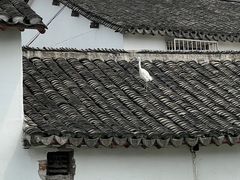 -状元楼(金溪路店)