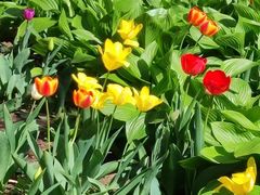 -长春公园(普阳街道)