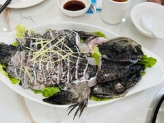 -御龙海鲜火锅(十六浦店)