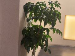 -贰醒·私房小院烧烤 (太古里店)