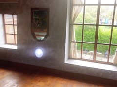-金山农民画村-枫泾波兰倒置屋