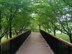 -中国浦东干部学院