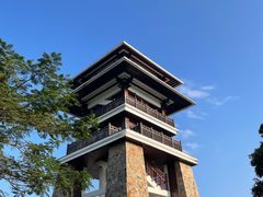 -大湾区中央湿地公园