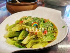 爽口生菜梗-风波庄(罍街分舵)