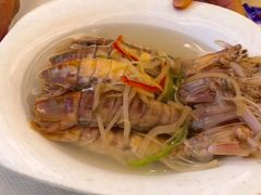 盐水濑尿虾-万山楼海鲜酒家·二十三年老字号
