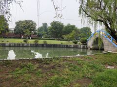 -中央公园(苏州工业园区)