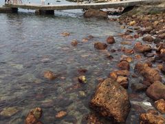 -西涌国际滨海旅游区