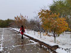 -永定河休闲森林公园