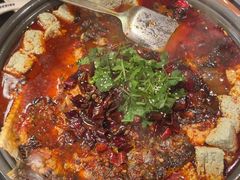 -师烤·豆花烤鱼(广州荔湾扬韬广场店)