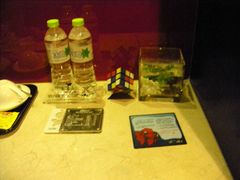 DSCN2363-杭州西湖桔子水晶酒店