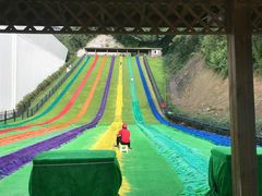 -梦幻奥陶纪景区