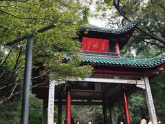 -茶颜悦色(岳麓山顶店)