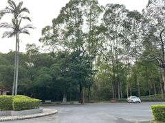 -三水森林公园