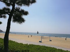 -海云台海滩