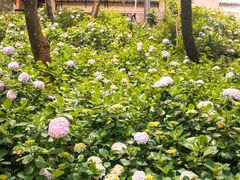 -苍山感通索道