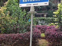 -东莞塘厦三正半山温泉酒店·沙利文西餐厅