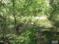 -碓臼峪自然风景区