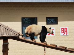 -石家庄市动物园