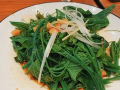清炒南瓜尖儿-巴依老爷新疆美食(常营店)