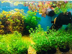-双季花艺园艺市场(浦东店)
