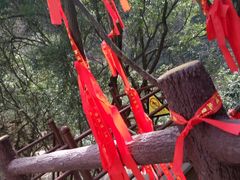 -水磨沟环境自然保护区