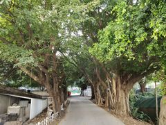 -小南山公园