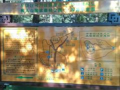 -帽儿山国家森林公园