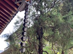 -香积寺