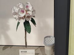 -四川大学博物馆